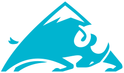 Gripstone logo